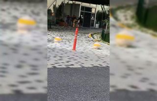 (ÖZEL) Yabancı uyruklu kadınların saç saça baş...