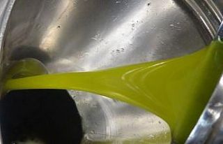 (Özel) Zeytinyağı sıcak havaları sevmiyor