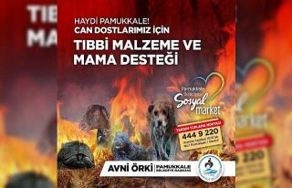 Pamukkale Belediyesi can dostları için kampanya...