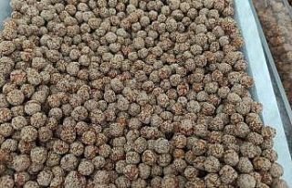 Pandemise dışarıya çıkamayan oturup leblebi yedi