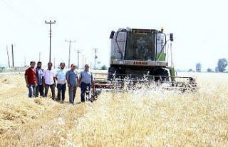 Para kazanamayan çiftçi ekim yapmıyor