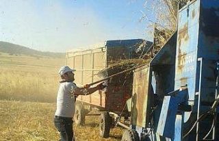 Patoz makinaları hala iş başında