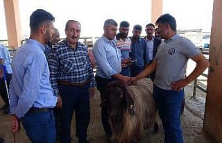 Pazarlıkta tokalaşma dönemi yeniden başladı