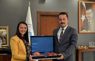 Pazaryeri, sanayi yatırımcılarını bekliyor