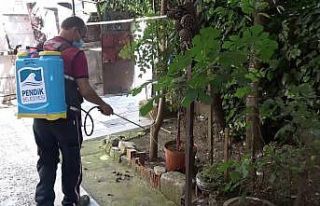 Pendik’te sivrisinek avcıları havadan görüntülendi