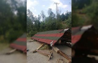 Piknik yaptıkları kamelyanın altında kaldılar