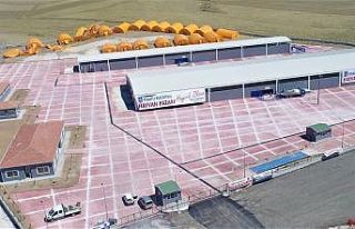 Polatlı Belediyesi Hayvan Pazarı’nda Kurban Bayramı...