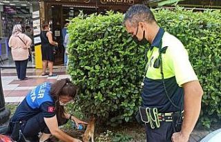 Polisin dikkati yavru kediyi kurtardı