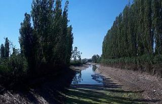 Porsuk çayında tedirgin eden görüntüler