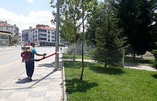 Pursaklar’da haşerelerle etkin mücadele