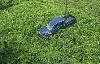 Rize’de araç çay tarlasına uçtu: 2 yaralı