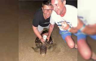 Rus turistlerin caretta carettaya eziyeti cezasız...