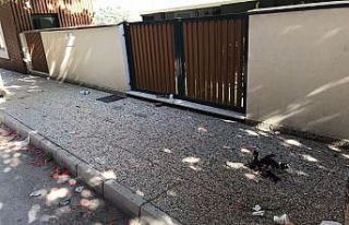 Saatlerce eğlendiler, çöpleri bırakıp dağıldılar