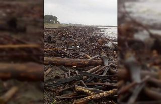 Sahiller odun deposuna döndü