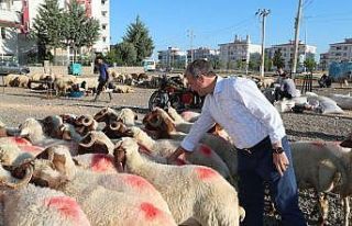 Şahinbey’de kurban satış ve kesim yerleri belirlendi