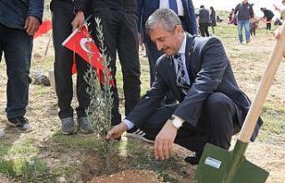 Şahinbey’den yeşil vatan için 27 bin ağaç desteği