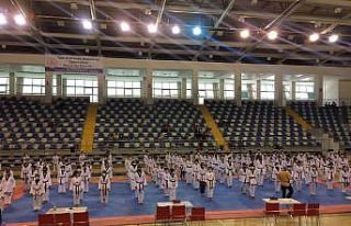 Şahin’den olimpiyat övgüsü