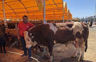 ‘Şampiyon’ alıcısını bekliyor