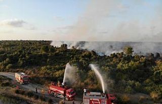 Samsun ormanlarında çıkan 22 yangında 21,28 ha...