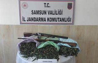 Samsun’da 13 bin 240 gram esrar ele geçirildi