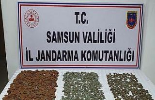 Samsun’da 2 bin 333 tarihi sikke ele geçirildi