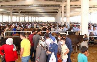 Şanlıurfa Kurban Pazarı’nda son gün yoğunluğu