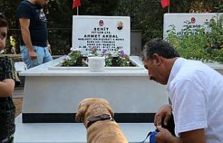 Şehidin emaneti ile şehide ziyaret