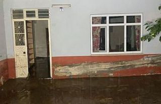 Sel bölgesinde 8 işyeri, 29 evde zarar tespit edildi