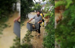 Selde sokak hayvanları boğulmaktan böyle kurtarıldı