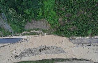 Selin boyutu gün ağarınca ortaya çıktı