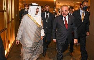 Şentop: "Filistin’in haklılığı konusunda...