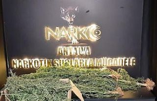 Seraya esrar operasyonu