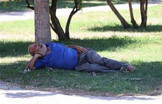 Sıcaktan fenalaşıp gölgede uyudu, vatandaşlar...