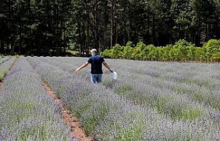 Şifa ve gelir kaynağı sağlayan projede 3’üncü...