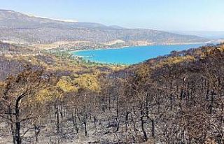 Silifke’de orman yangını devam ediyor