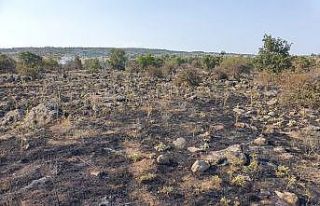 Simav’da makilik alanda çıkan yangın söndürüldü
