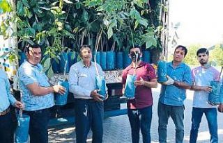 Sincik’te ceviz fidanı dağıtıldı