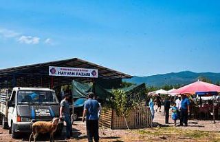 Sındırgı’da yeni kurulan hayvan pazarında arife...