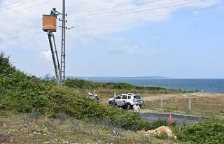 Sinop’ta akıma kapılan inek telef oldu