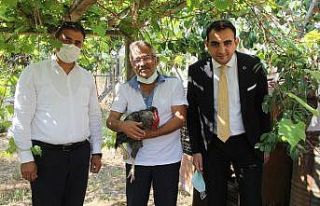 Sinop’ta horoz gibi öten tavuk gibi yumurtlayan...