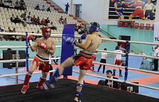 Şırnak’ta bin 500 sporcunun ringdeki mübadelesi...
