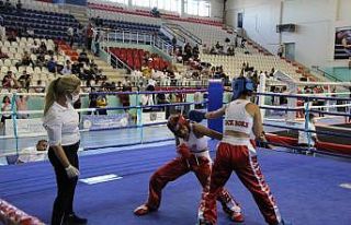 Şırnak’ta Türkiye Ferdi Kick Boks Şampiyonası...