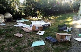 Site bahçesindeki kedi evlerini yıkan şahıs, hayvanseverlere...