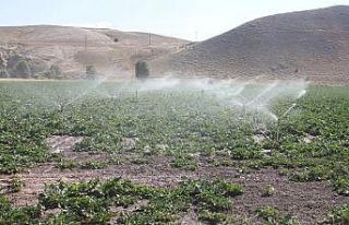 Sivas Gürün Suçatı Sulaması 1. Kısım inşaatının...