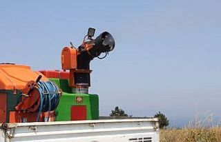 Sivrisinekler kabus olmasın: Saksı altlıkları,...