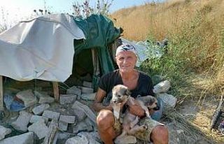 Sokağa atılmış köpekleri besleyip büyütüp...
