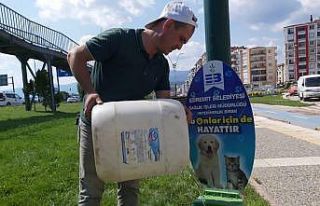 Sokaktaki canlar susuz kalmayacak