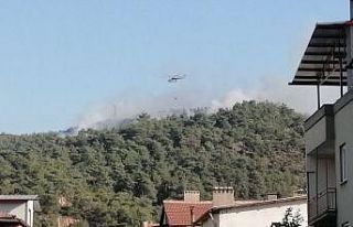 Soma’da orman yangını