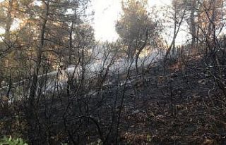 Soma’daki orman yangını kontrol altına alındı