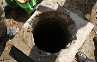 Su kuyusuna düşen koyunu kurtarmak isterken canından...